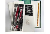 Illustration Livre d'Artiste Mayombe par Marie-Claude Bohnenblust Lenglart